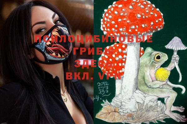 PSILOCYBIN Алексин