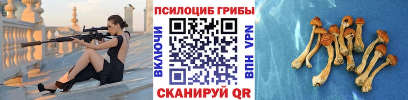 Галлюциногенные грибы Cubensis  закладка  MEGA ссылки  Уфа 